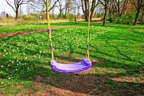 purple swing in the park for children