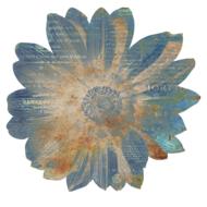 ephemeral flower on white background