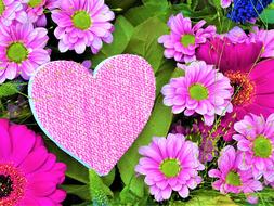 Heart Flower Love pink