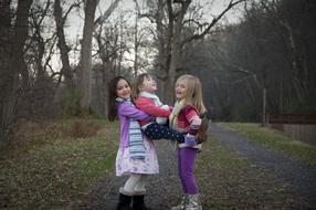 Sisters Holding Path forest