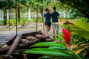 couple in love in a botanical garden in a blurred background