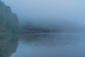 Beautiful waterscape, near the green rocks, in fog, in autumn