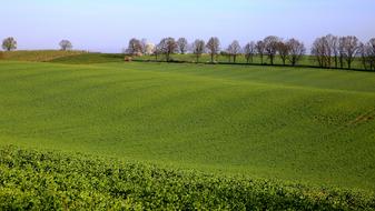 green field on hills, scenic spring landscape