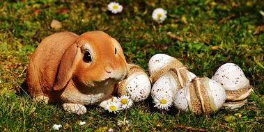 Easter Bunny Spring and eggs