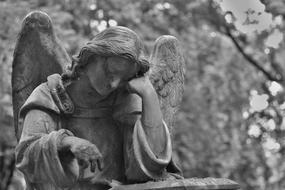 Black and white photo of the beautiful angel statue among the trees on the cemetery