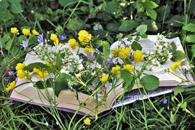 book and yellow blue flowers