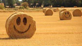 Straw Halmballe face smile