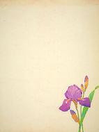 flower pattern on vintage paper