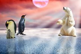 Polar Bear and Penguins