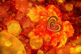Bokeh Leaf Heart red orange