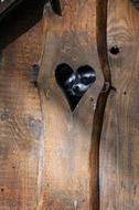 Heart wood door