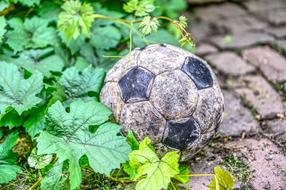 Football Ball Broken green leaves