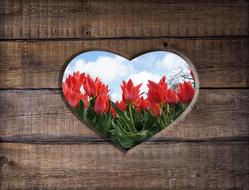 Beautiful heart with red flowers, in the wooden surface