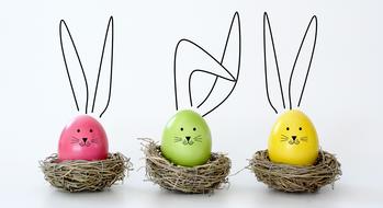 colorful Rabbit Easter Eggs