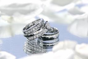 wedding rings with precious stones and white petals