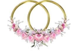 Close-up of the shiny, gold rings in the colorful and beautiful flowers, at white background