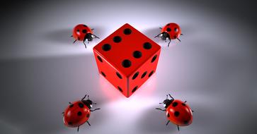 Cube Lucky Ladybug red banner