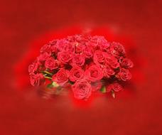red background with bunch of roses