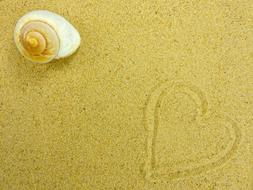 the heart is drawn in the sand next to the seashell