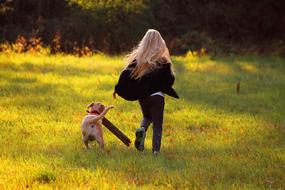 Blonde girl, walking with the cute and beautiful dog with the wood, on the colorful field in light