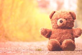 Teddy Bear Furry Cute toy