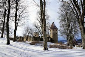 Winter Snow Cold trees and castle