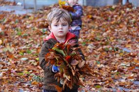 Child Playing Fall leaves