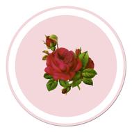 red rose sticker vintage art drawing