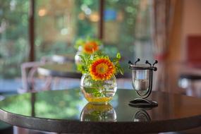 Close-up of the beautiful, red, orange and yellow flowers in the glass, on the table
