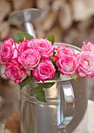 Romantic Roses Love in glass