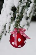 Winter Christmas Snow red decoration