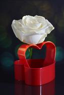 White Rose and Heart decoration