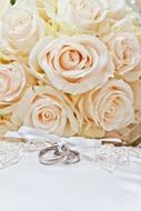 Beautiful, silver rings with white ribbon and white and pink roses