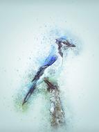 bird blue jay cute art drawing