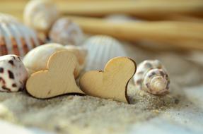 seashells and wooden hearts on white sand, close-up
