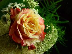 rose in a green bouquet close up