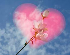 flowering branch against the sky as a design