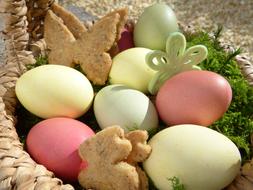 Easter Eggs and Cookies in Nest