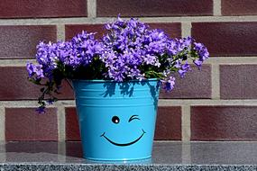 blue bucket with smiley as a flower pot