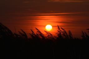 romantic orange sunrise over a rural field