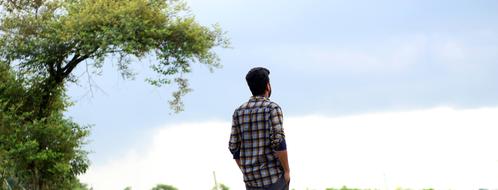 Alone Boy green tree