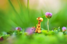 Toy Sweet Child and flower
