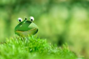 Frog Green decoration