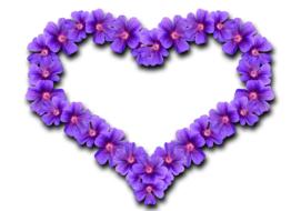 drawing of purple heart flowers design