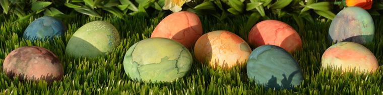 colorful easter eggs on the lawn