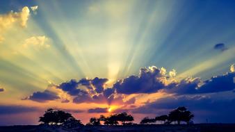 landscape of sunset over Jungle