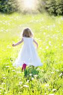 child picks daisies in the field