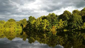 fluffy green trees are reflected in the lake
