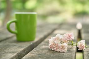 flower and green mug on wooden table in blurred natural background