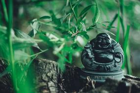 Buddha Religion Laughing statue